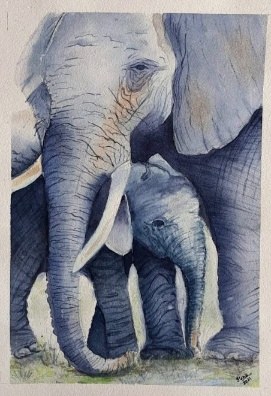 Watercolour: an elephant and her calf